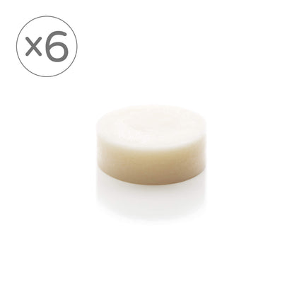 6 x peppermint refresh conditioner bar.