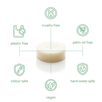 6 x peppermint refresh conditioner bar.